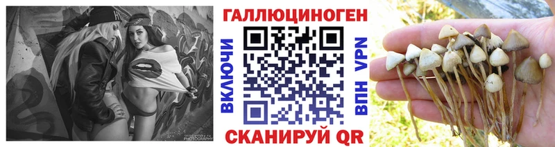 Галлюциногенные грибы мицелий Купить закладки Клин