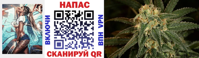 Канабис SATIVA & INDICA  Купить закладки  Клин 
